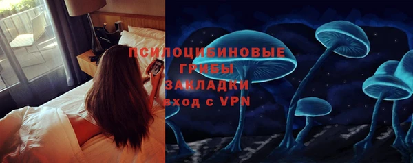 кокс Каменногорск