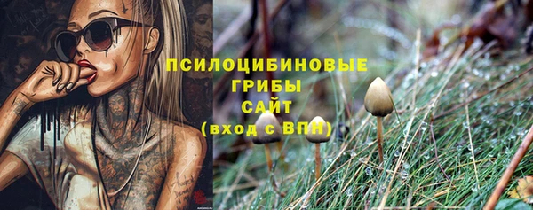 кокс Каменногорск