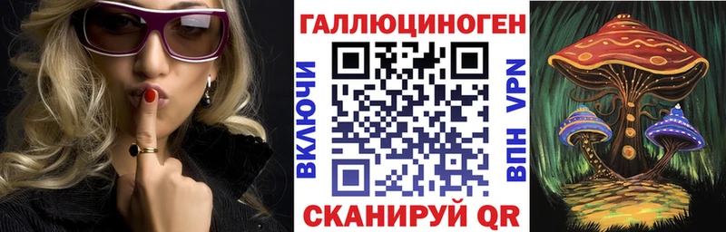 Купить  Балтийск  Псилоцибиновые грибы Psilocybe 